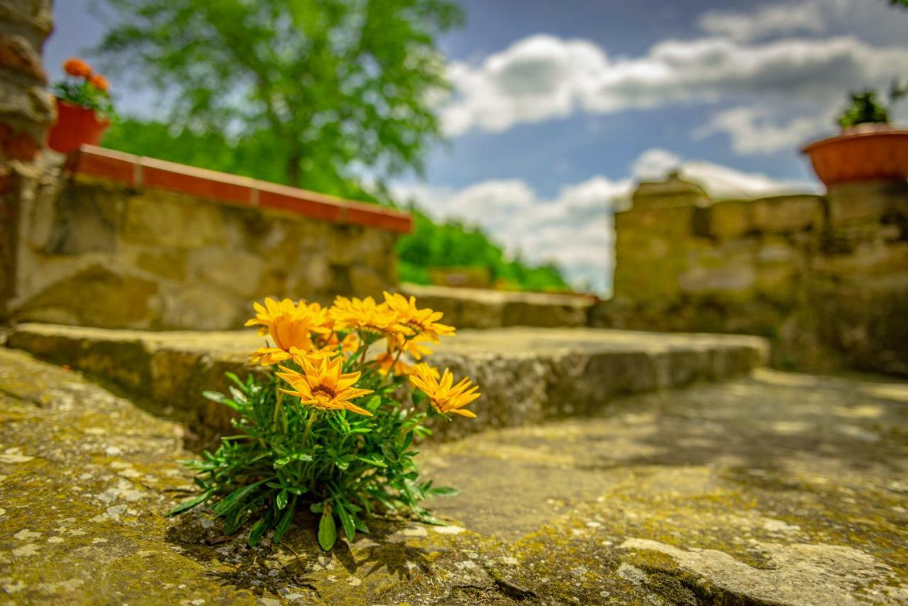 SantʼEllero Casa Al Boscoゲストハウス エクステリア 写真