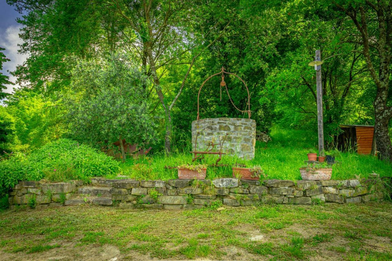 SantʼEllero Casa Al Boscoゲストハウス エクステリア 写真